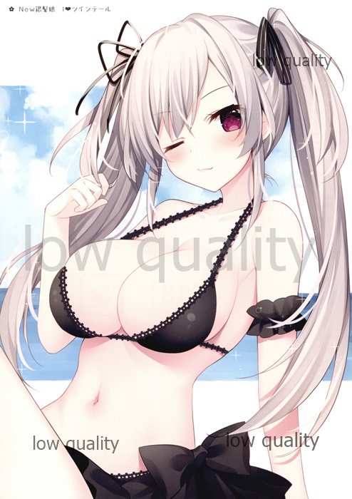 (C94) [Royalみるく (みこ)] 銀kami図鑑