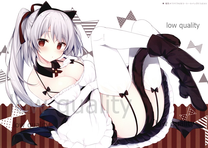 (C94) [Royalみるく (みこ)] 銀kami図鑑