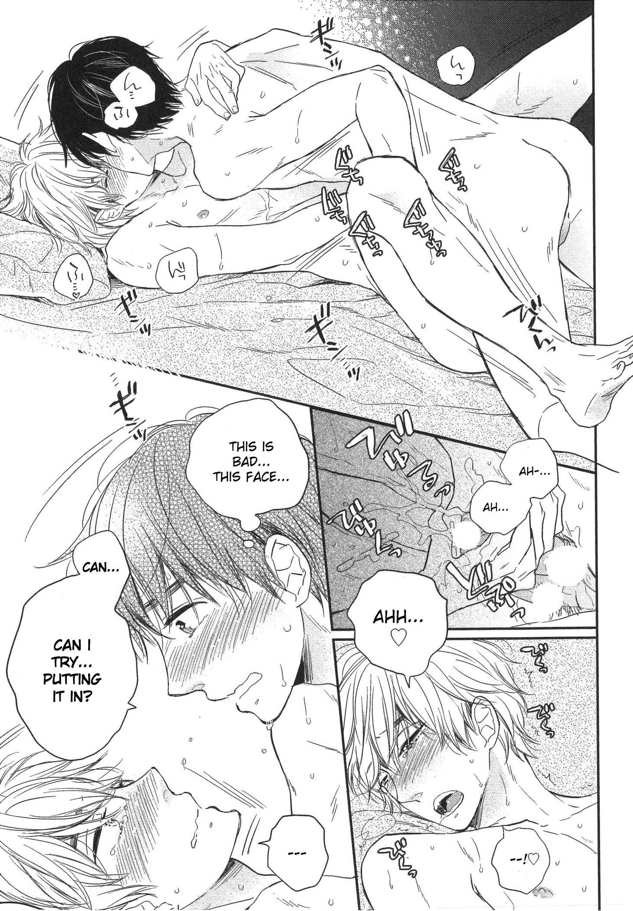 [フジマコ] 迷う犬、誘う猫 [英訳] [ページ欠落]