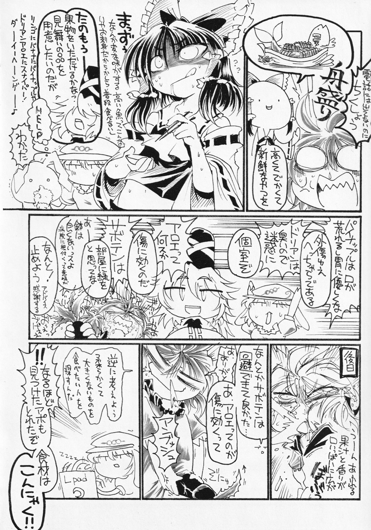 (例大祭13) [蓮川堂 (よろず)] 東方食ザー合同 (東方Project)