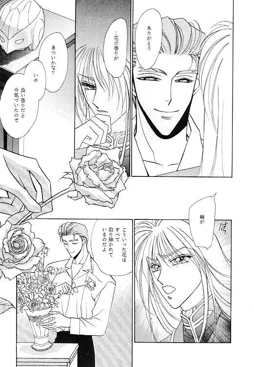 (C49) [SE・NIGHT (佐野真砂輝, わたなべ京)] MASCARADE (ガンダムW)