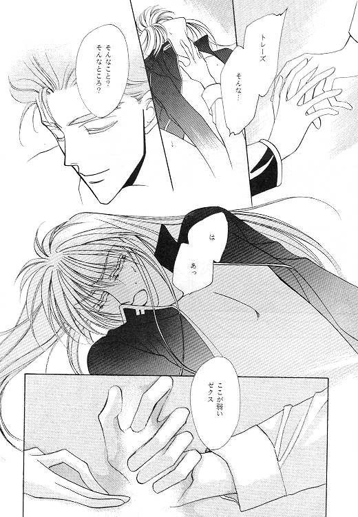 (C49) [SE・NIGHT (佐野真砂輝, わたなべ京)] MASCARADE (ガンダムW)