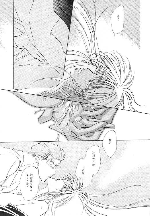 (C49) [SE・NIGHT (佐野真砂輝, わたなべ京)] MASCARADE (ガンダムW)