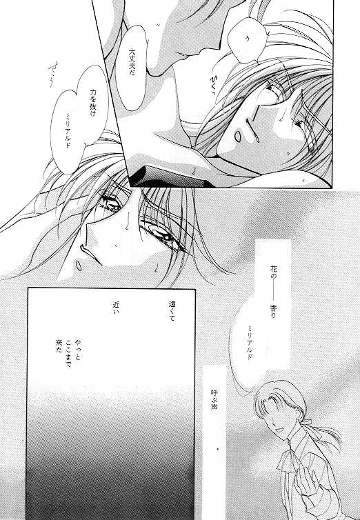 (C49) [SE・NIGHT (佐野真砂輝, わたなべ京)] MASCARADE (ガンダムW)