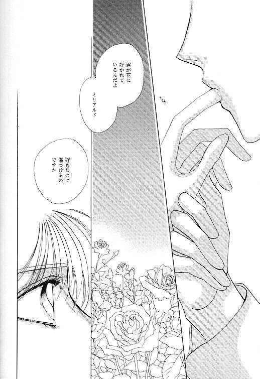 (C49) [SE・NIGHT (佐野真砂輝, わたなべ京)] MASCARADE (ガンダムW)