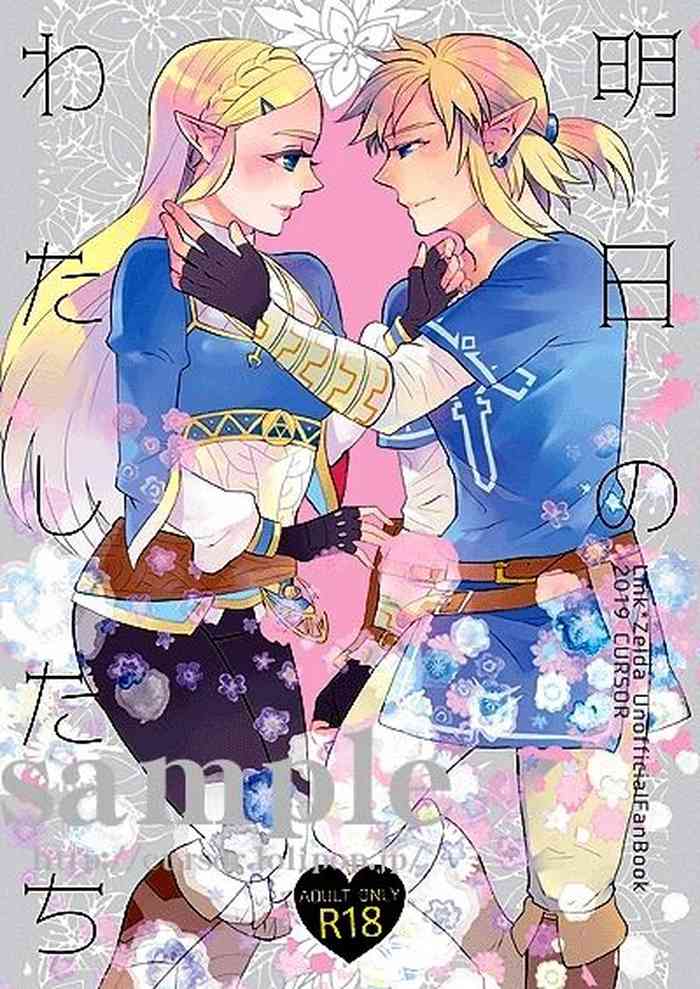 (ALL STAR 9) [カーソル (サトー)] 明日のわたしたち (ゼルダの伝説) [英訳]