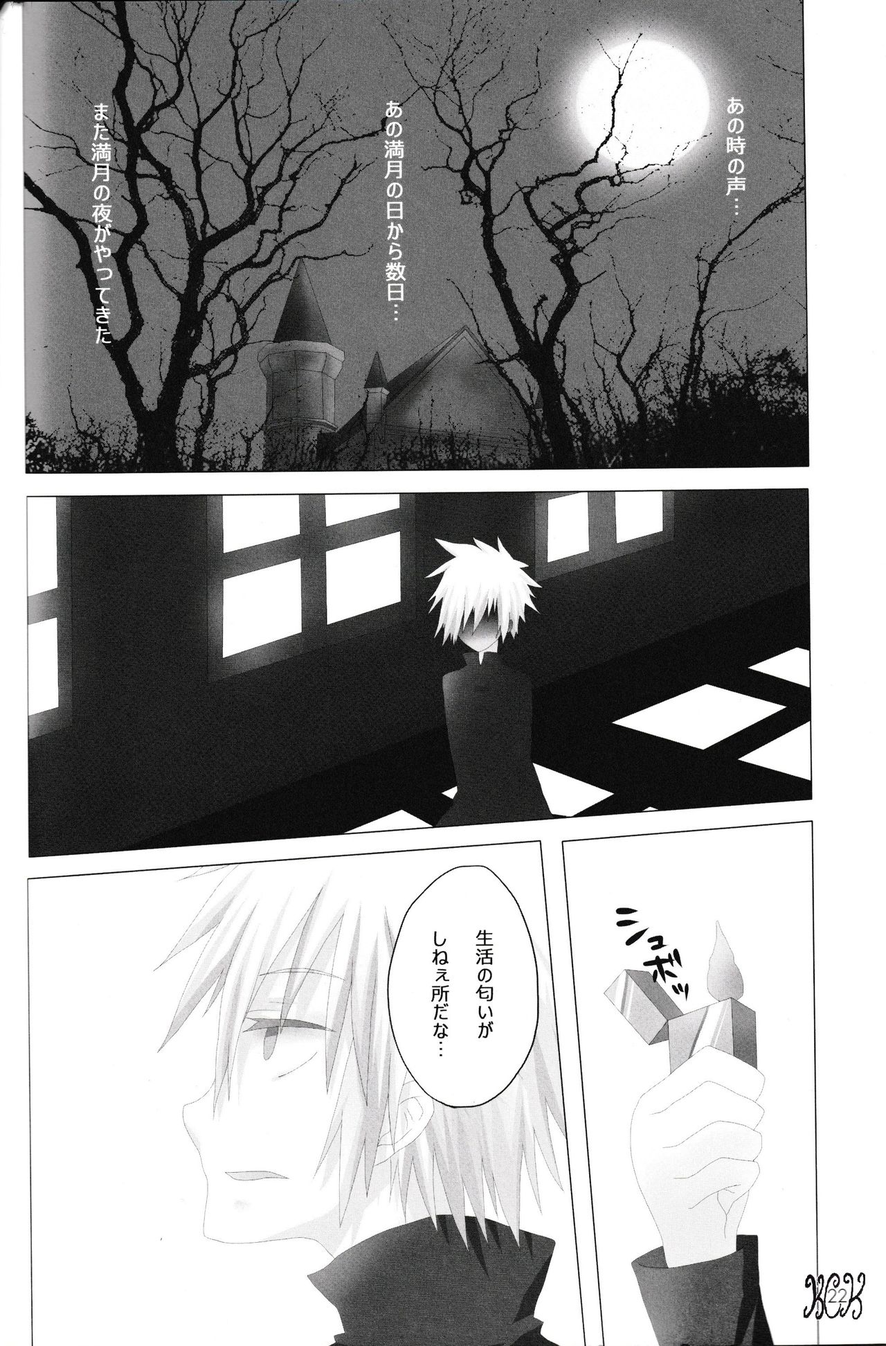 (C83) [S.C+KIWOLOG (うめまる、アキヲ)] In The Dark (デュラララ!!)