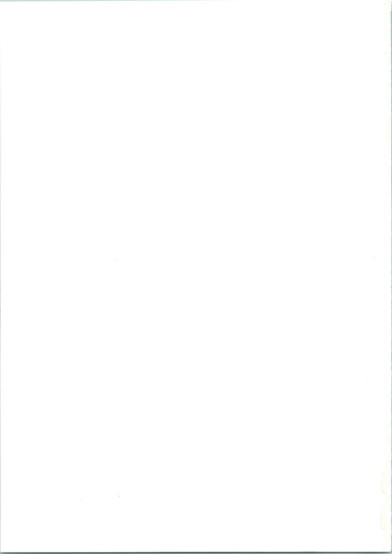 (Cレヴォ17) [あやしげ団 (よろず)] 魔女っ娘騎士3 (魔法騎士レイアース)