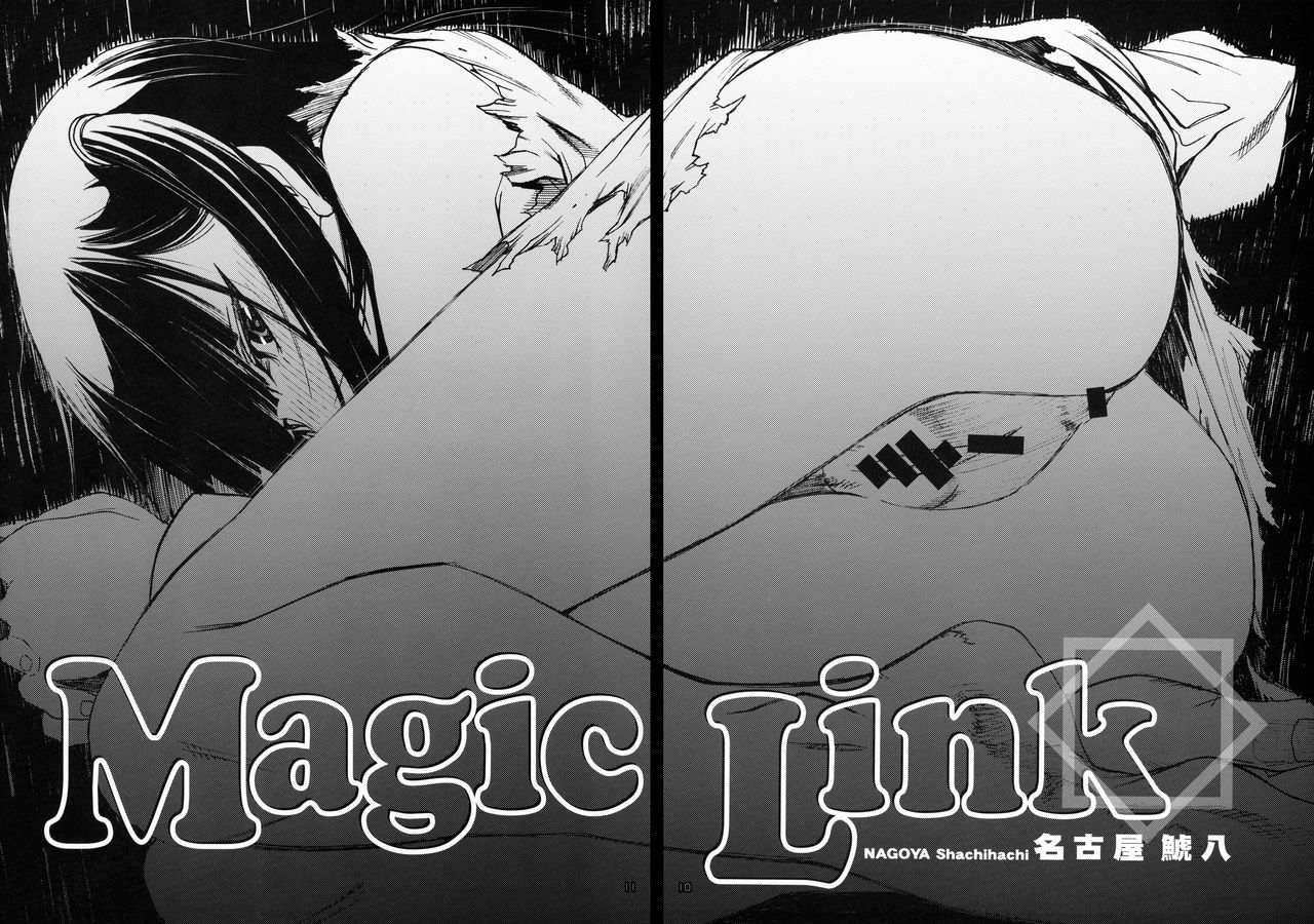 (C83) [PIGGSTAR (名古屋鯱八)] Magic Link (マギ)