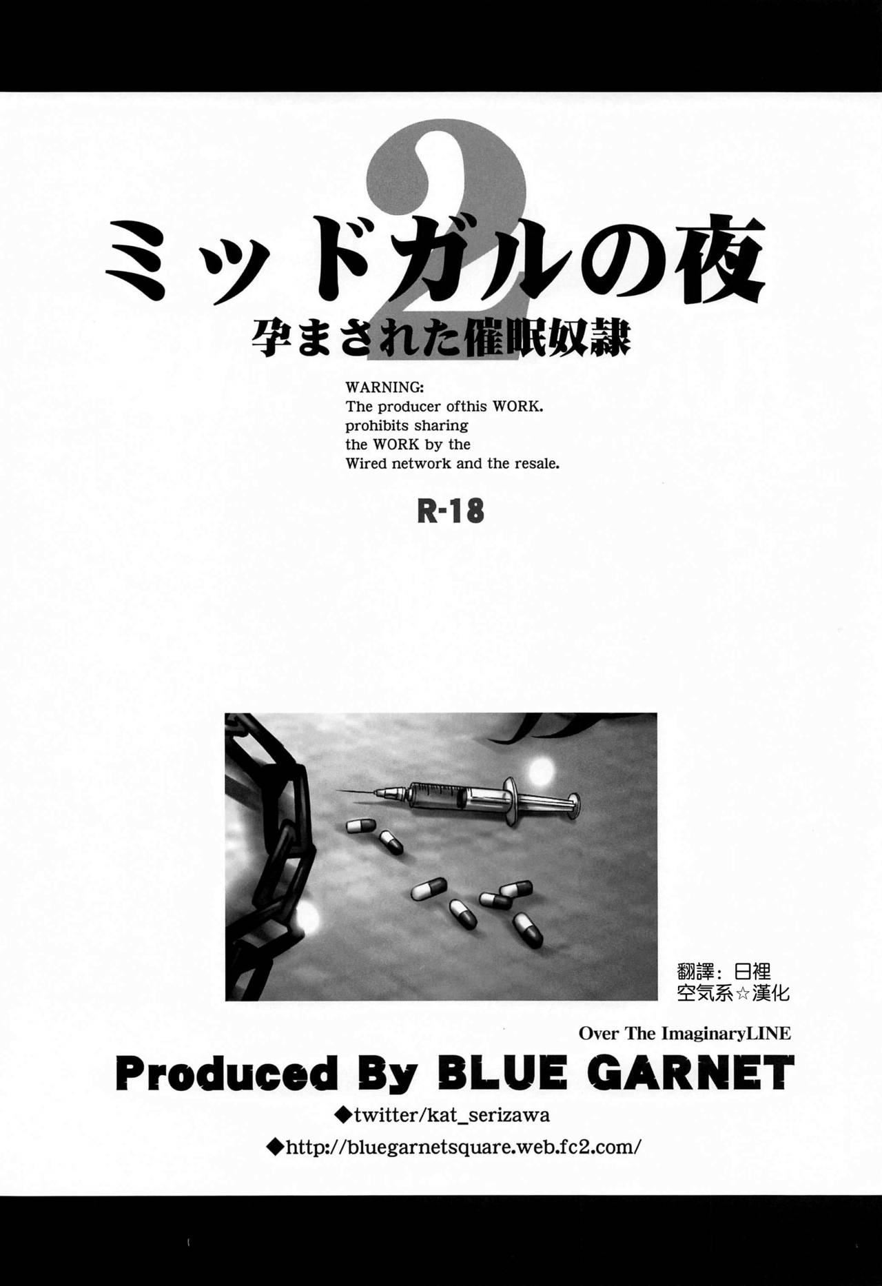 [BLUE GARNET (芹沢克己)] ミッドガルの夜2 (ファイナルファンタジーVII) [中国翻訳]