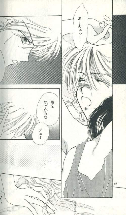 [FIGARO HOUSE (西神田まねこ)] Untitled 名称未設定 (ガンダムW)