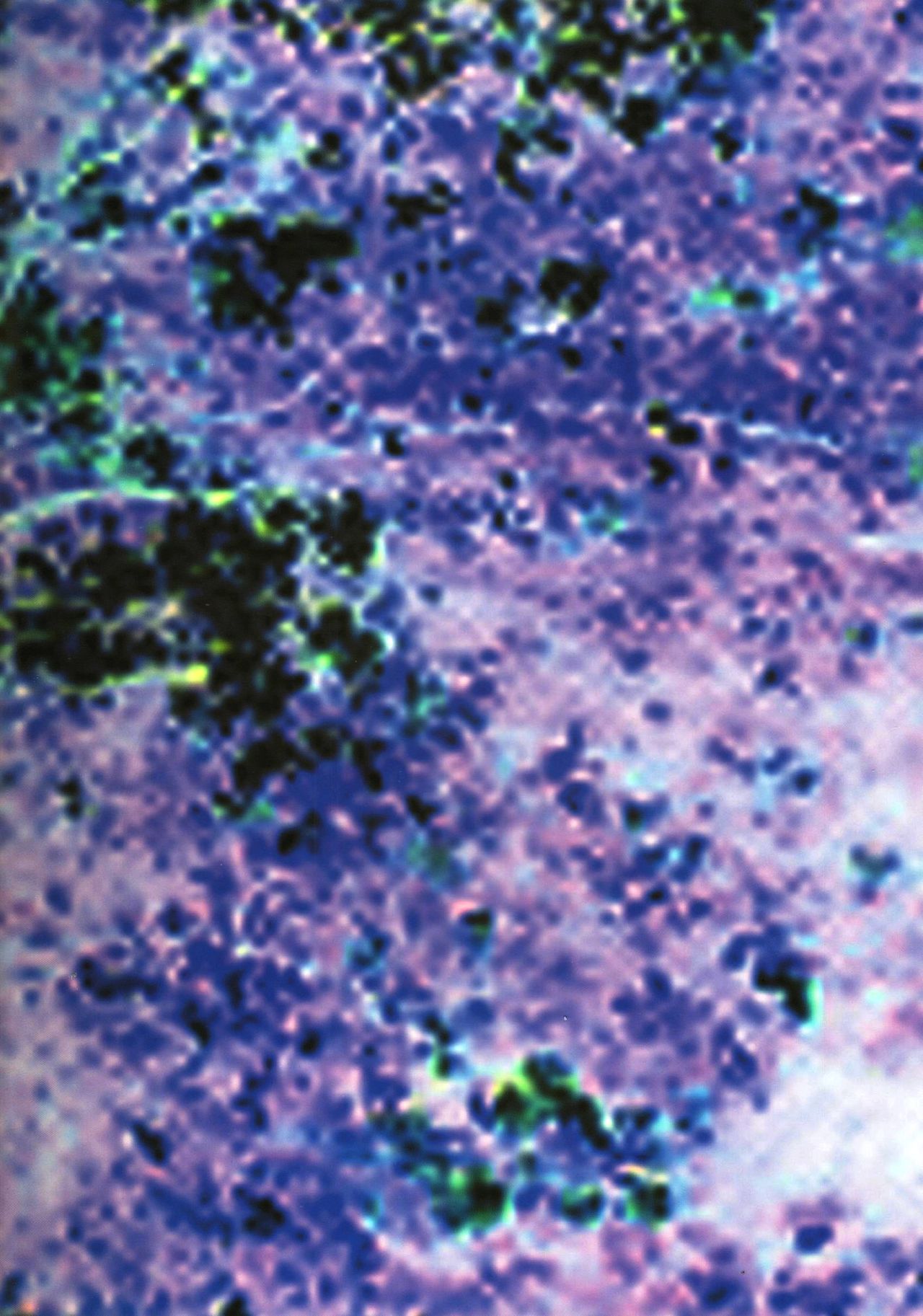 (C76) [三月のライオン (Don.繁)] JILL HAZARD 2 (バイオハザードⅤ) [無字]