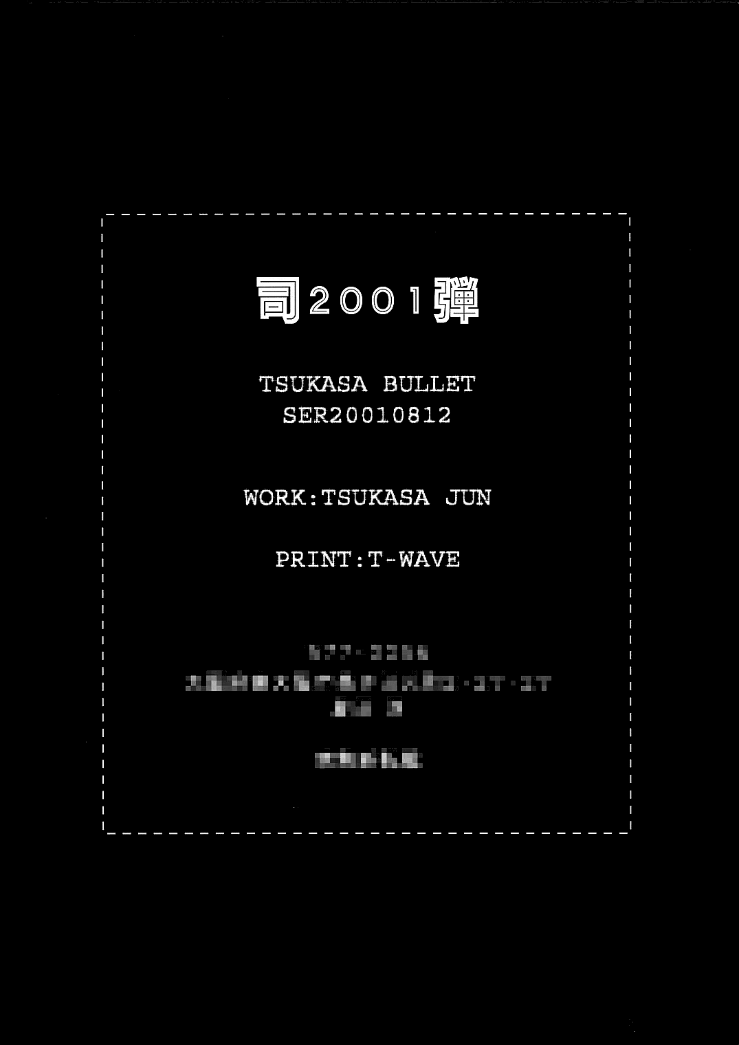 (C60) [司弾 (司淳)] Tsukasa Bullet 2001 (ストリートファイター ) [無字]