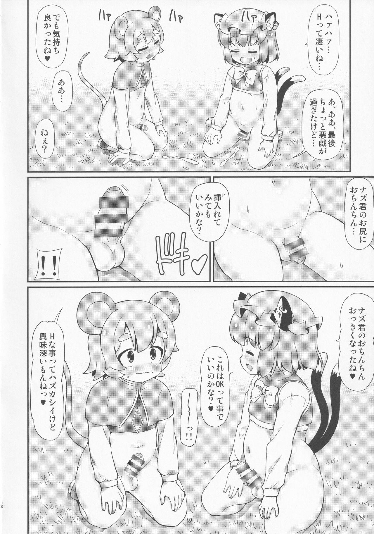 (例大祭18) [魔導資料室 (嵐-D-悪鬼羅、佐々木てろん、emina)] 鼠と遊ぶ猫 (東方Project)