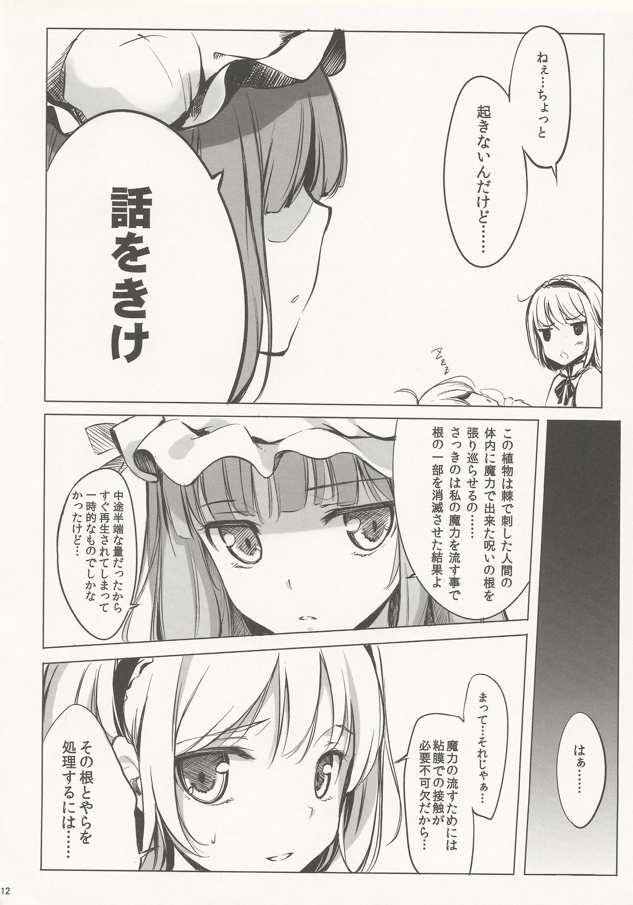 (C81) [劇毒少女 (ke-ta、日向、冬馬雪崩)] SLEEPING MAGE ‐魔法の森の眠り姫‐ 劇毒少女 Publication Number VII (東方Project)