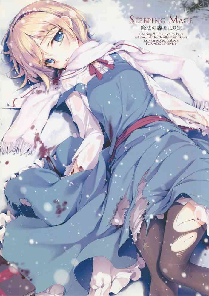 (C81) [劇毒少女 (ke-ta、日向、冬馬雪崩)] SLEEPING MAGE ‐魔法の森の眠り姫‐ 劇毒少女 Publication Number VII (東方Project)