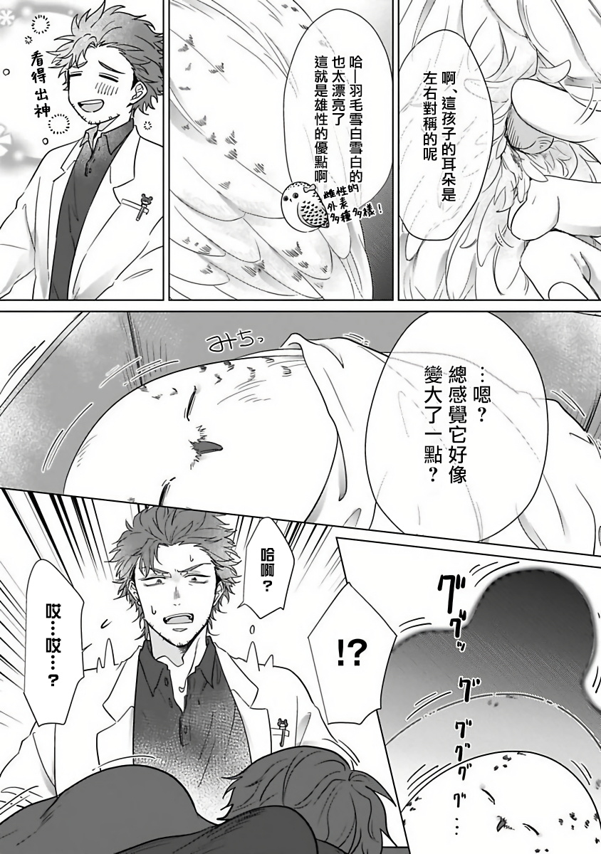 [かざみ幸] フクロウの恋わずらい 第1話 [中国翻訳] [DL版]