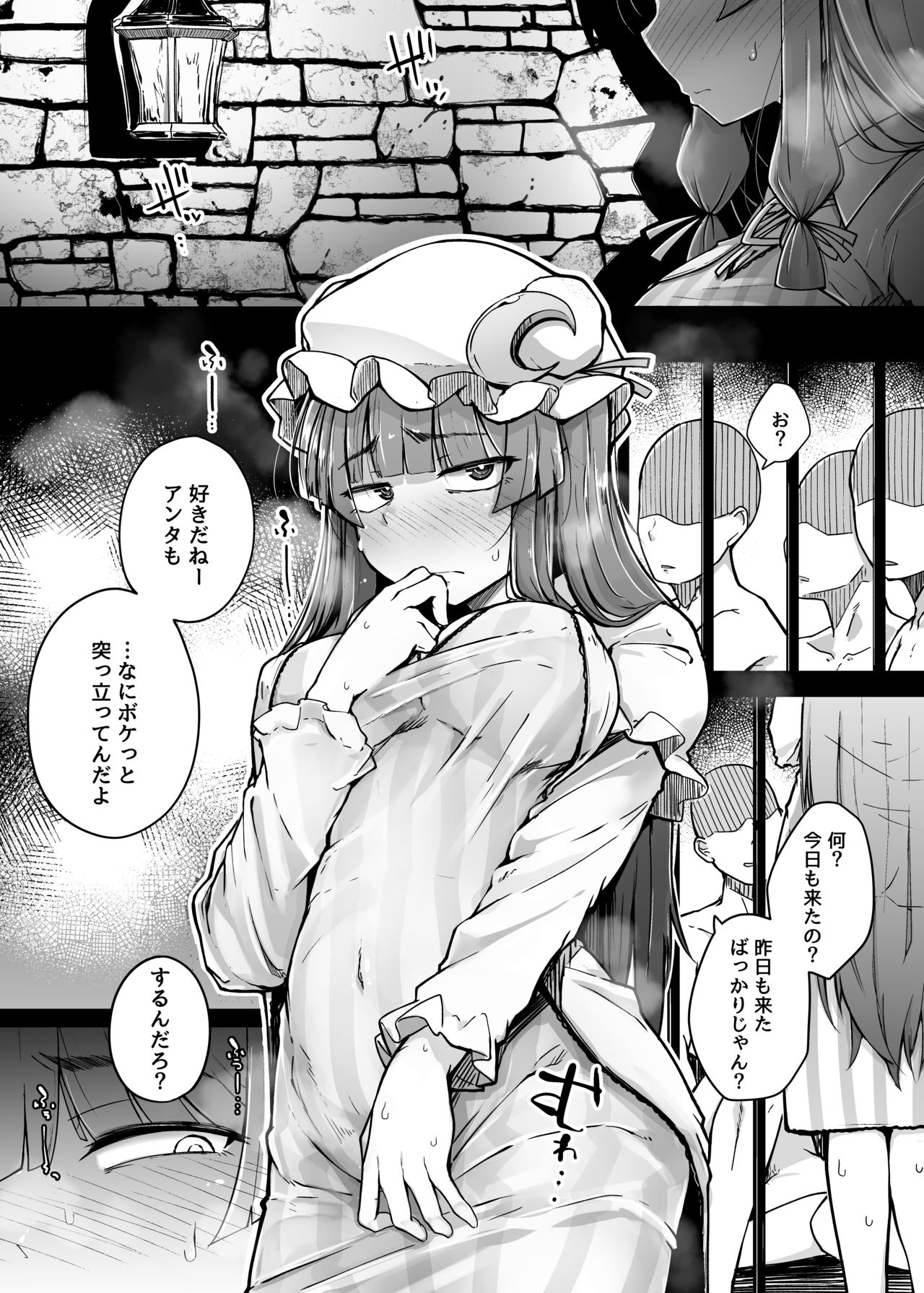 [自家発電処 (flanvia)] 穴とむっつりどすけべだいとしょかん 3 (東方Project) [DL版]