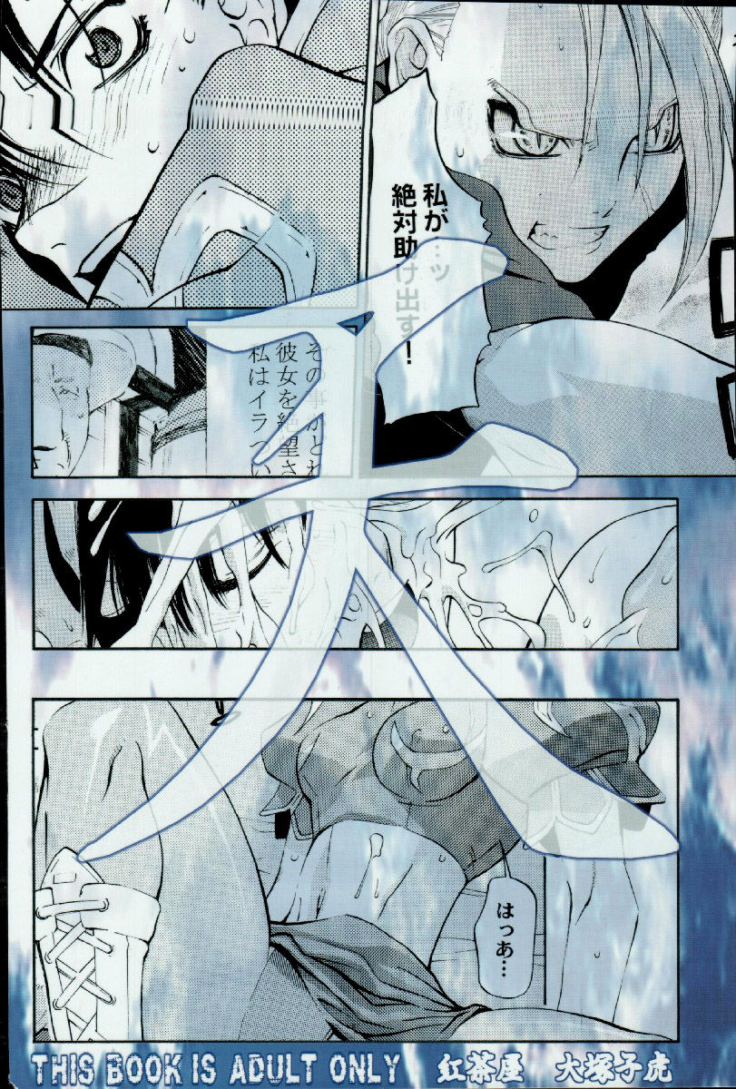 [紅茶屋 (大塚子虎)] 天衣無縫外伝 (ストリートファイター、鋼の錬金術師) [英訳]