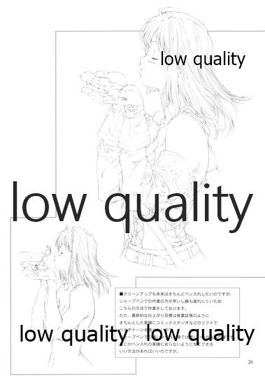 (C71) [クランク・イン (水谷とおる)] NOCTURNE (ファイナルファンタジーXI)