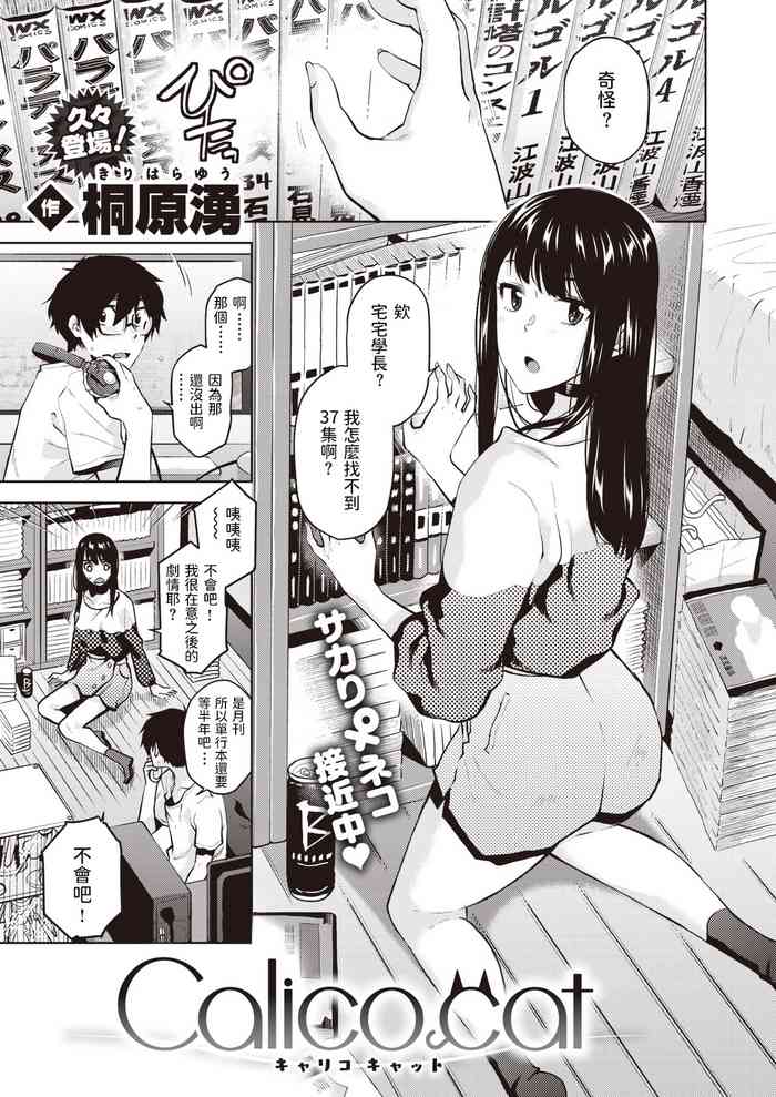 [桐原湧] Calico cat (コミックゼロス #86) [中国翻訳] [DL版]