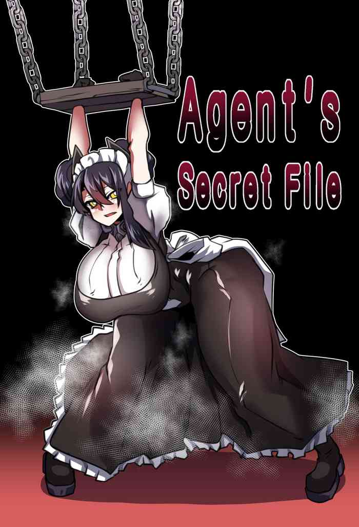 (H_earth)Agent's Secret File (少女前線)
