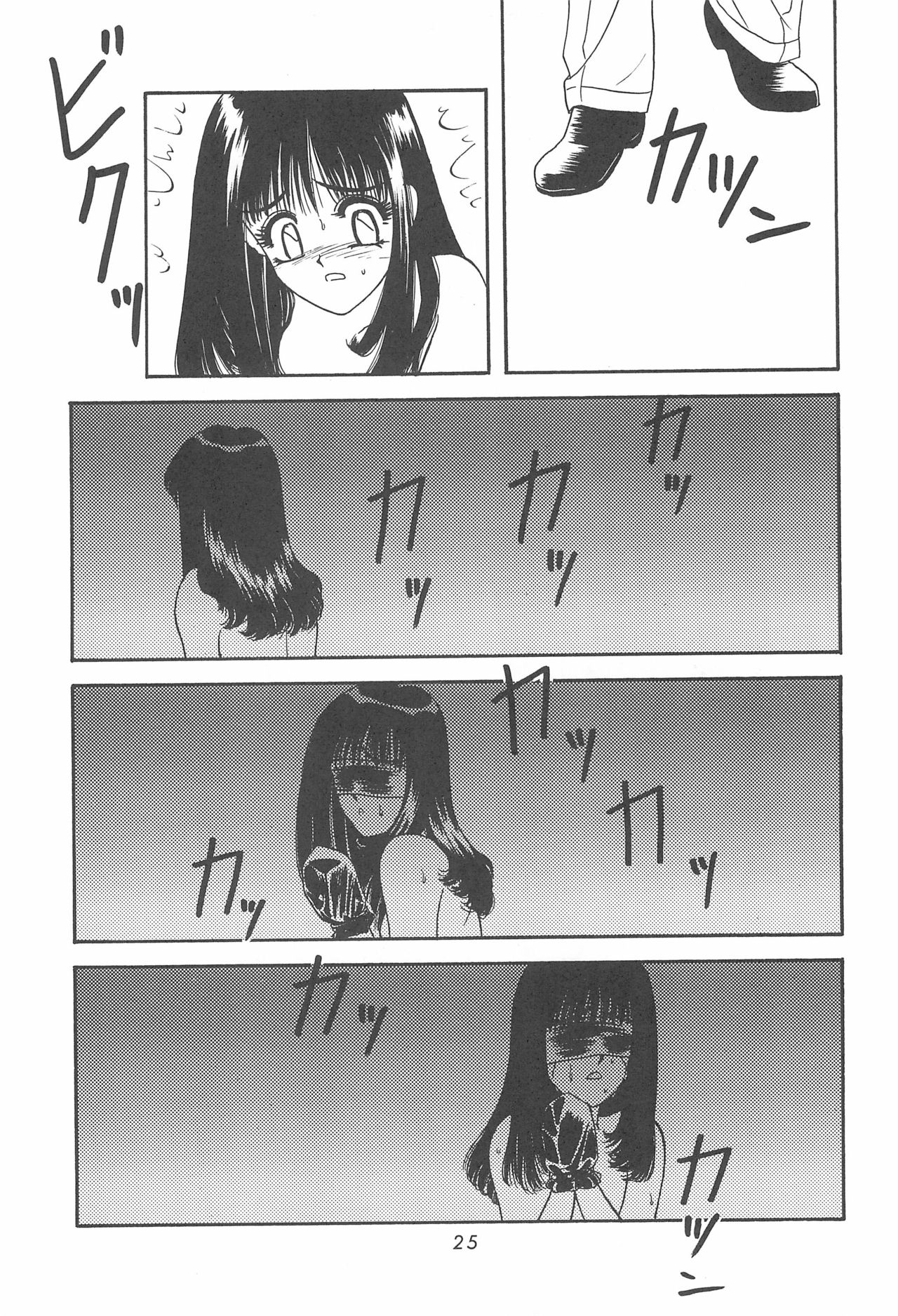 (C55) [Advanced-SS (暗躍人)] 水晶の夜 (よろず)