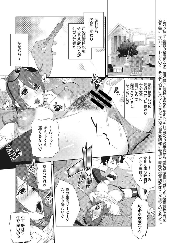 [琴義弓介] メス義姉ダイアリー [DL版]