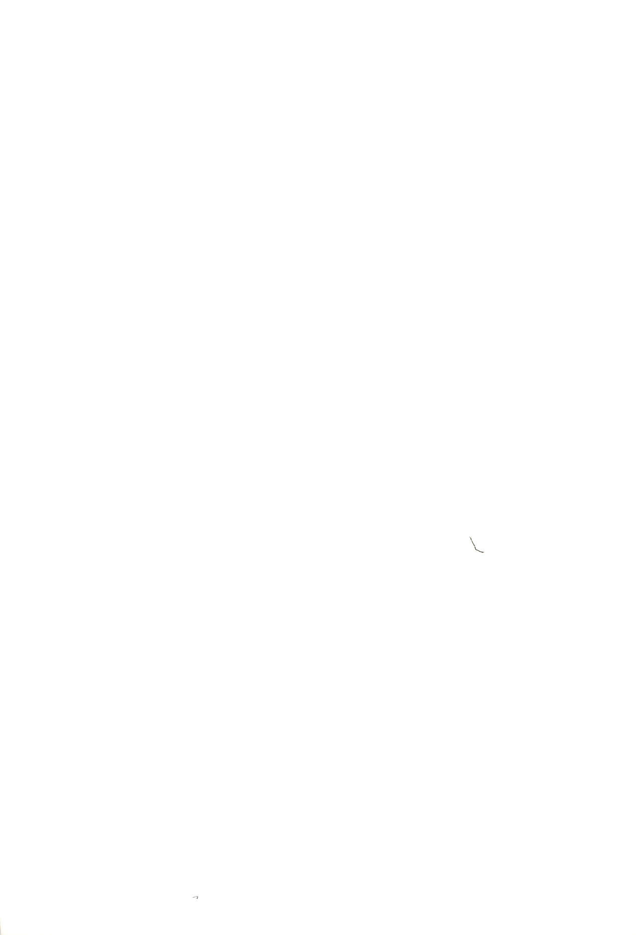 (コミティア62) [ハイヤードガール (イコール)] CHUPETS