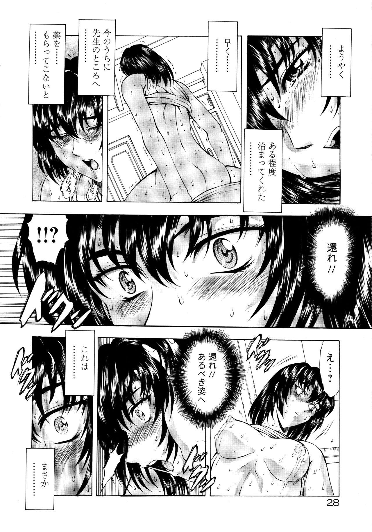 [向正義] 銀竜の黎明 VOL.1