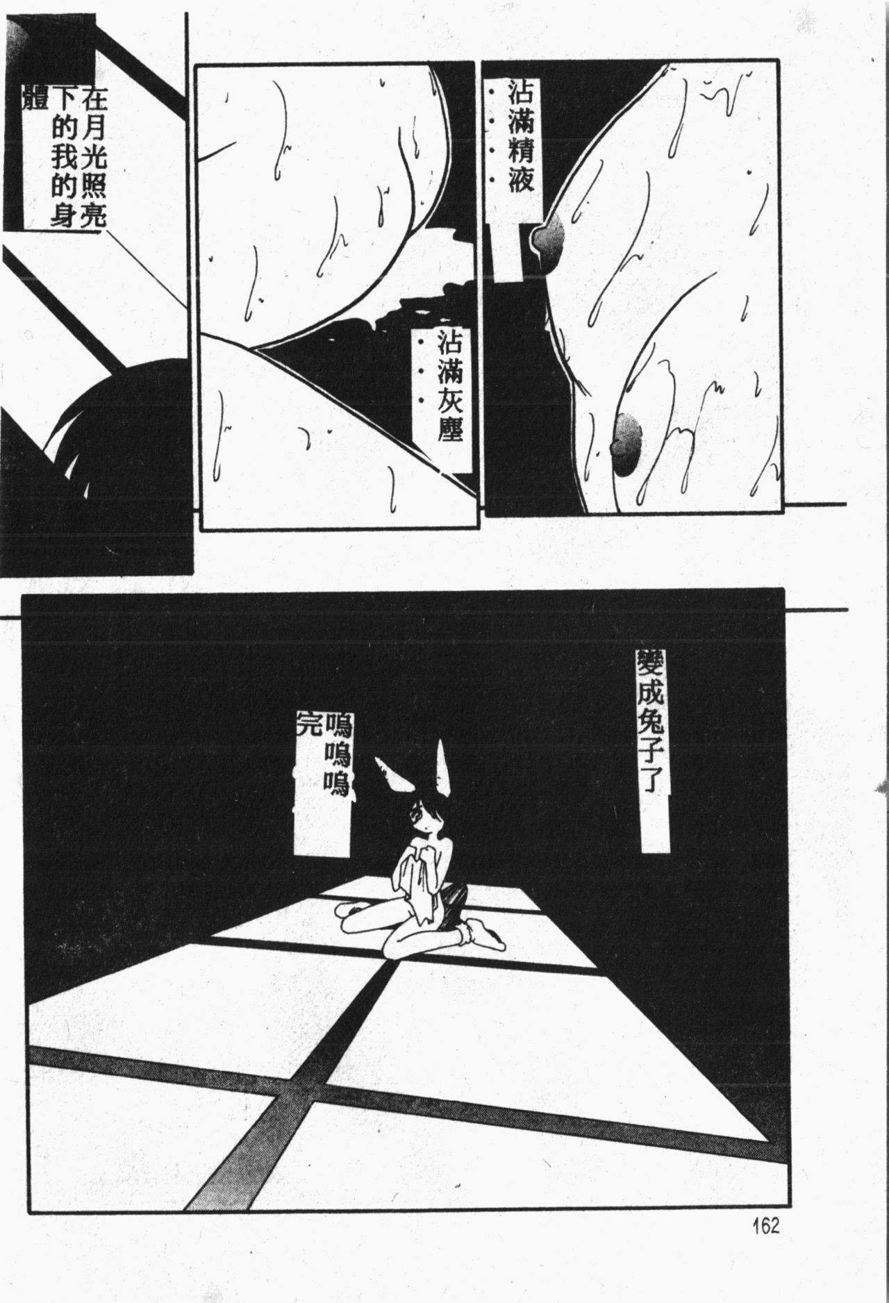 [アンソロジー] 秘密の地下室 Vol.1 [中国翻訳]