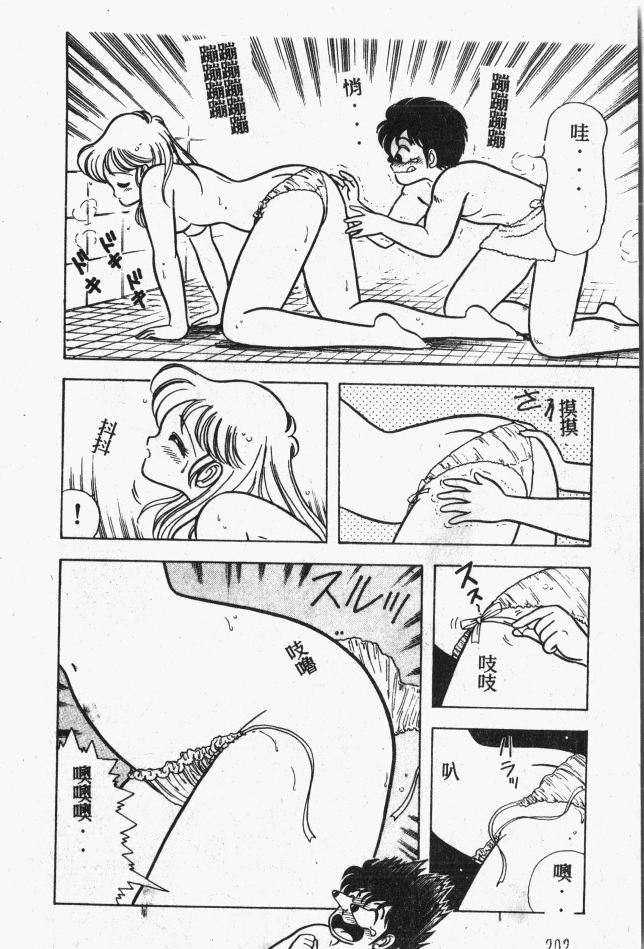 [アンソロジー] 秘密の地下室 Vol.1 [中国翻訳]