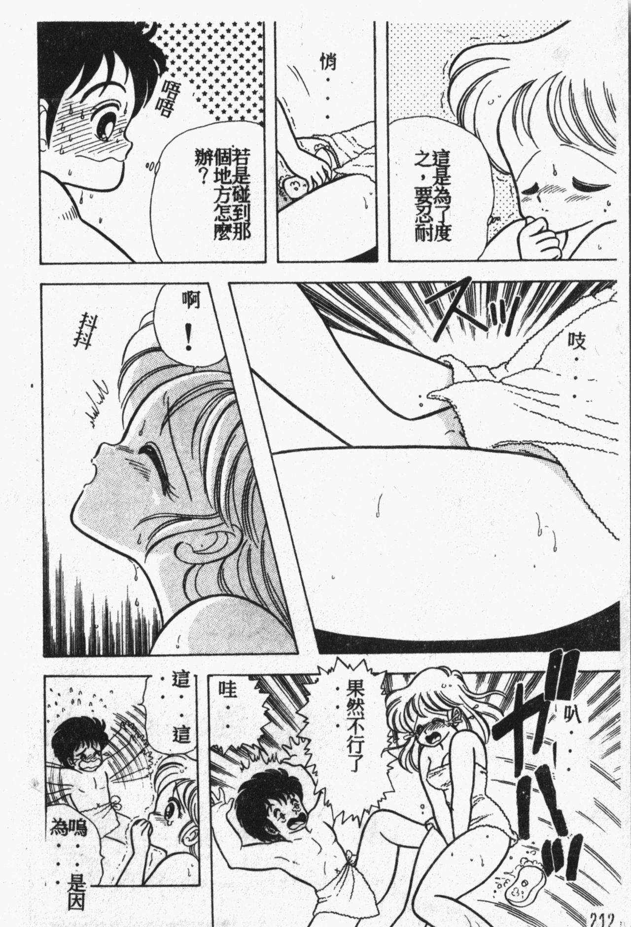 [アンソロジー] 秘密の地下室 Vol.1 [中国翻訳]