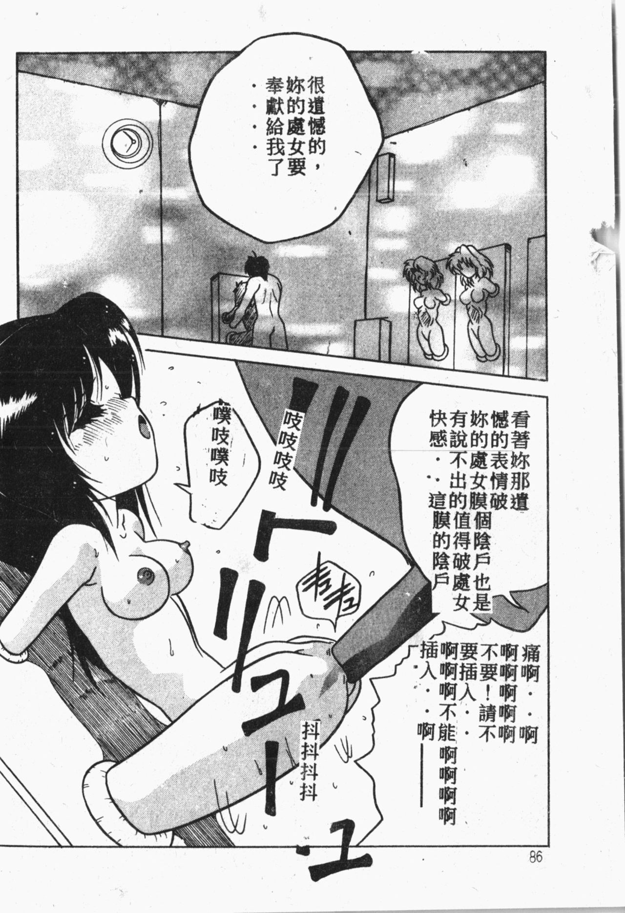 [アンソロジー] 秘密の地下室 Vol.1 [中国翻訳]