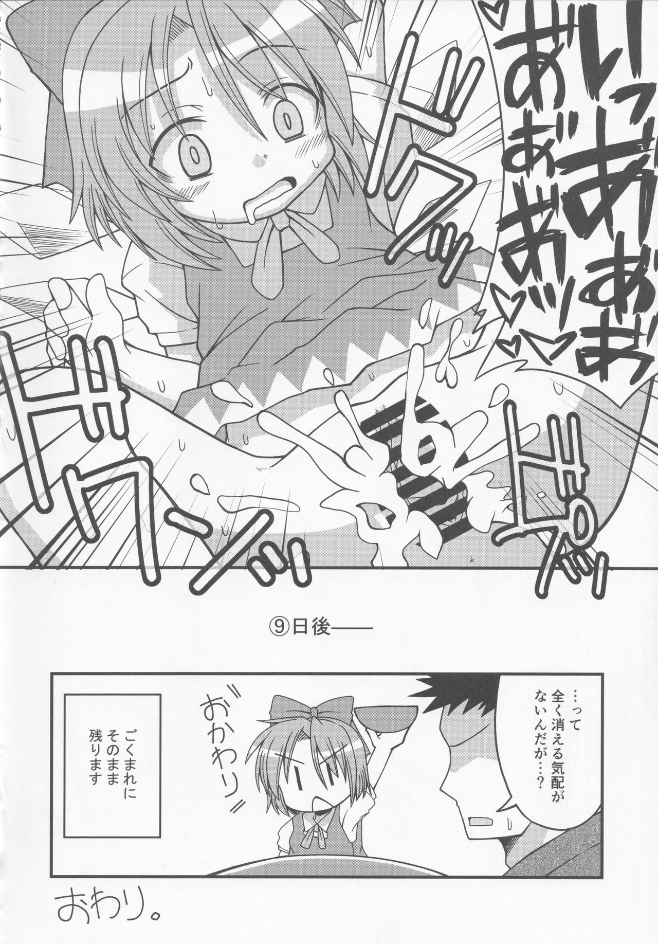 (紅楼夢16) [苦笑邸 (よろず)] 氷精大戦争 (東方Project)