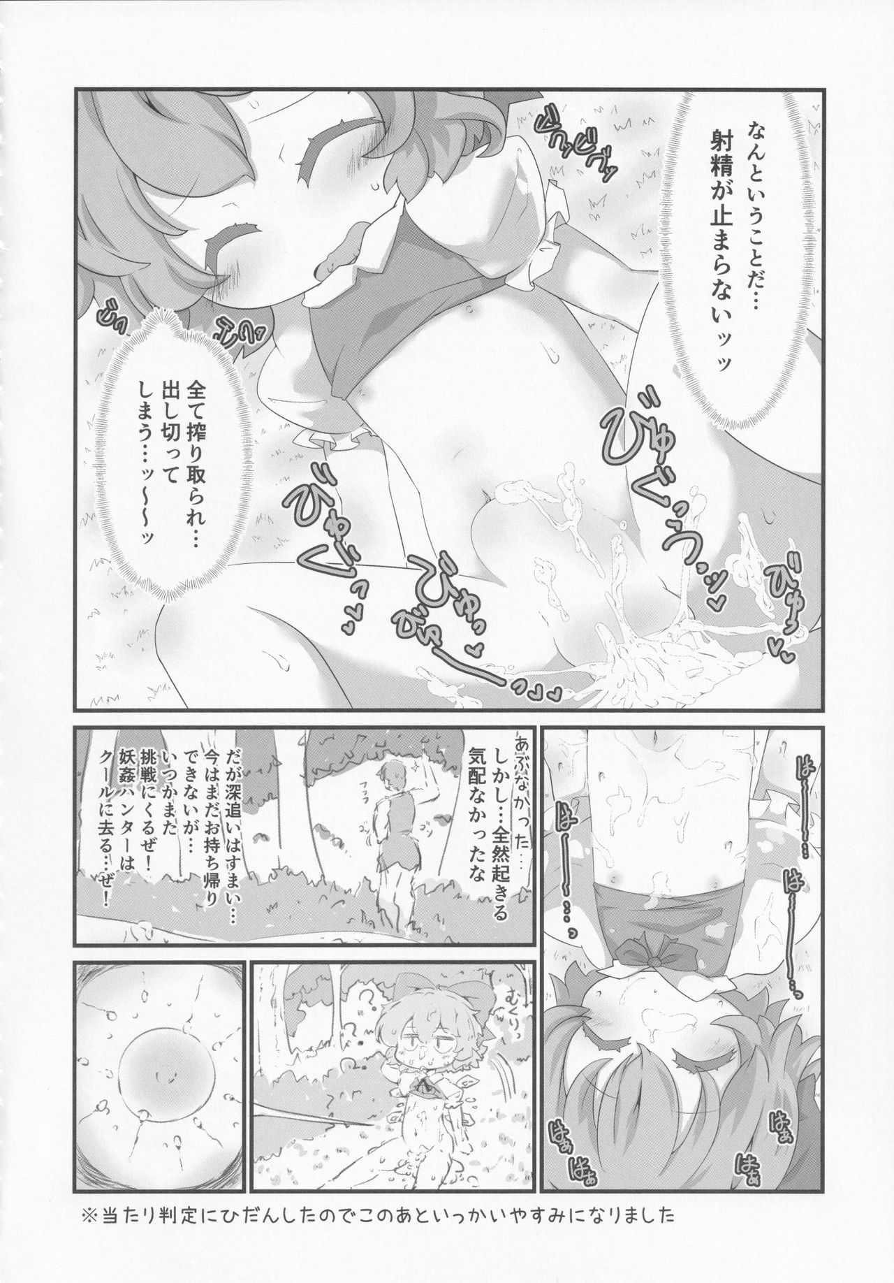 (紅楼夢16) [苦笑邸 (よろず)] 氷精大戦争 (東方Project)