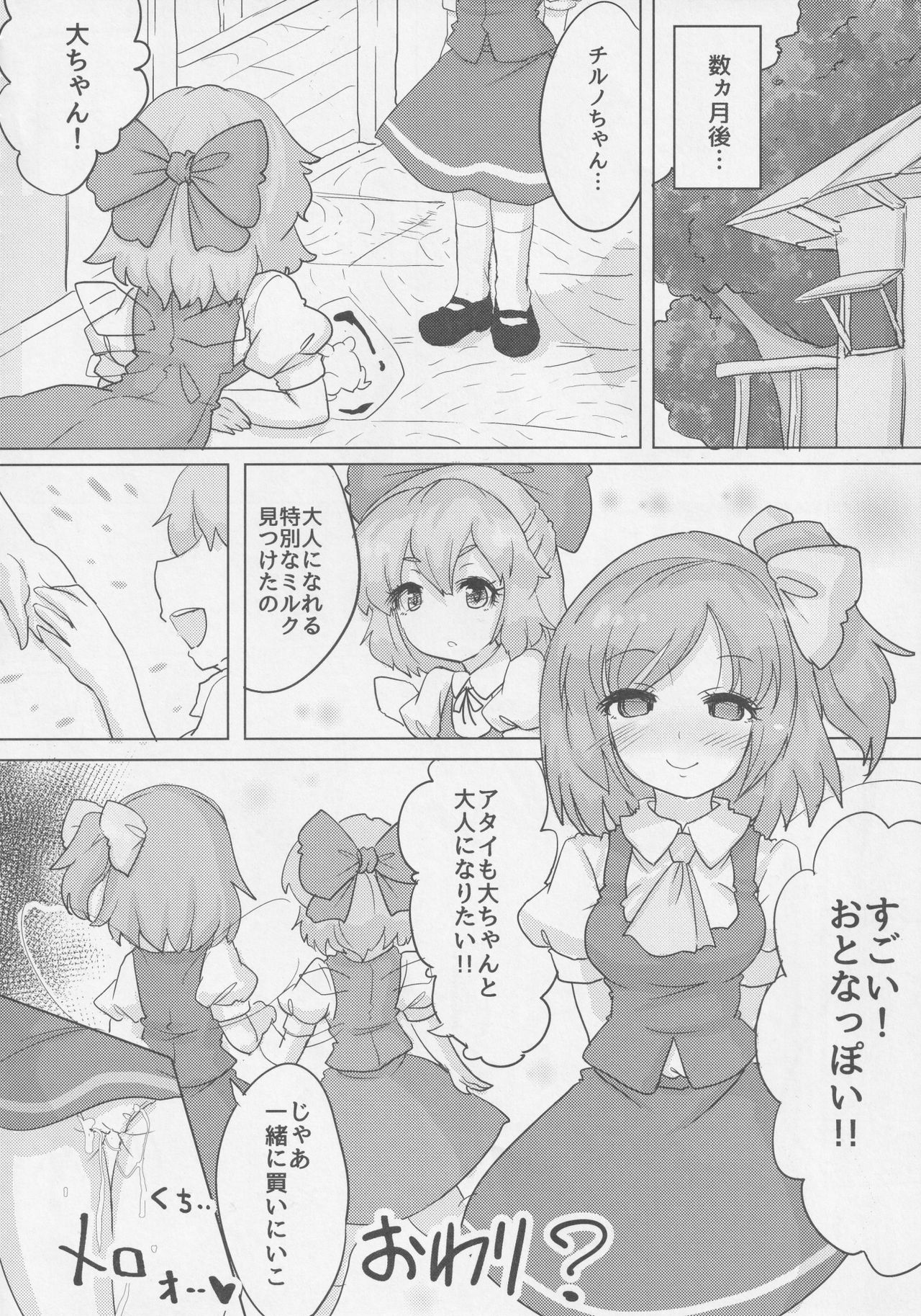 (例大祭14) [藤原家 (よろず)] 東方お買い物合同誌 side [adult] オカイモノガタリ (東方Project)