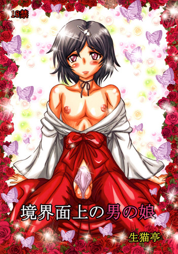 (C79) [生猫亭 (chan shin han)] 境界面上の男の娘 (Steins;Gate)