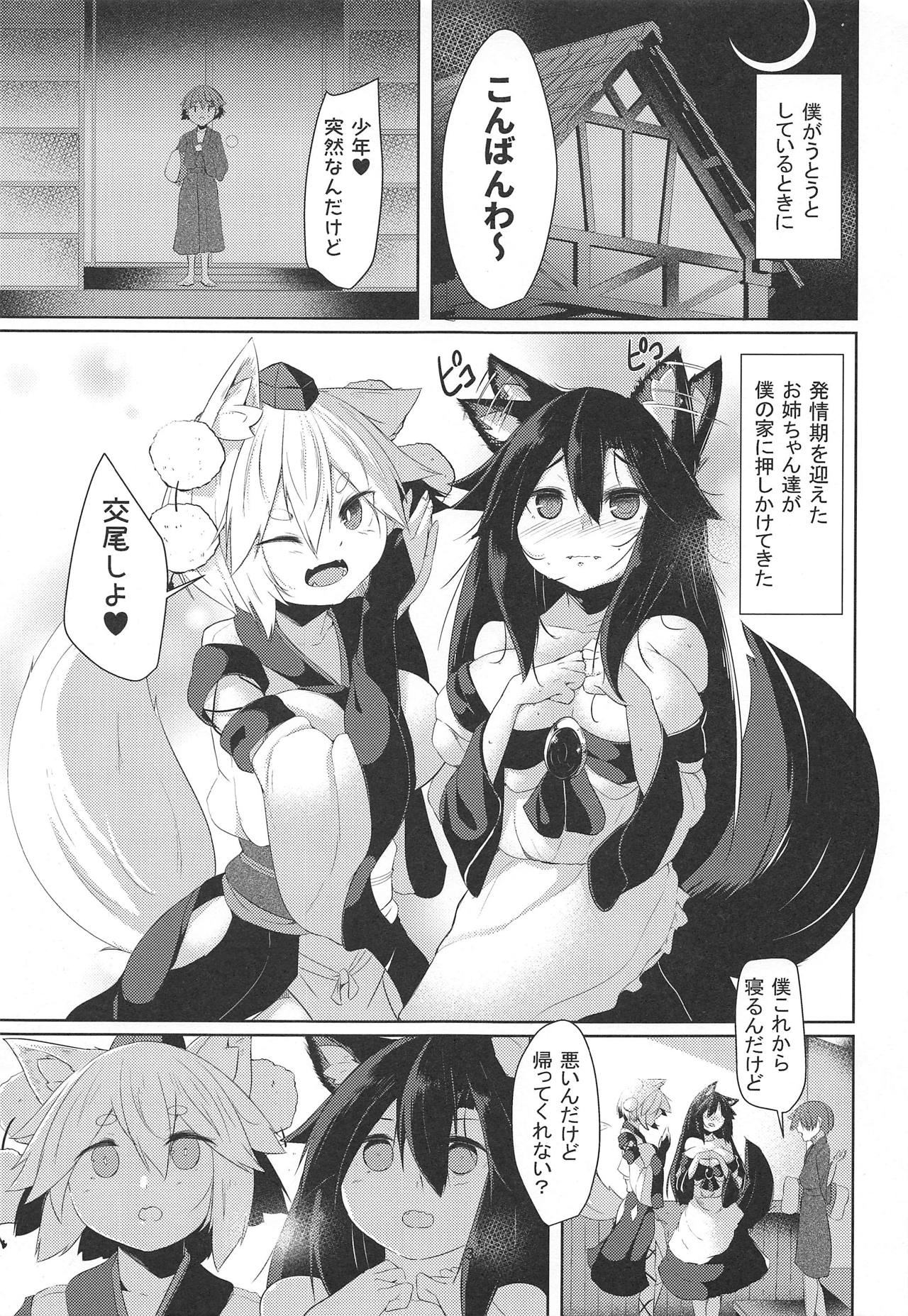 (例大祭16) [何かの部屋 (平)] 続・犬のお姉ちゃん達の発情 (東方Project)