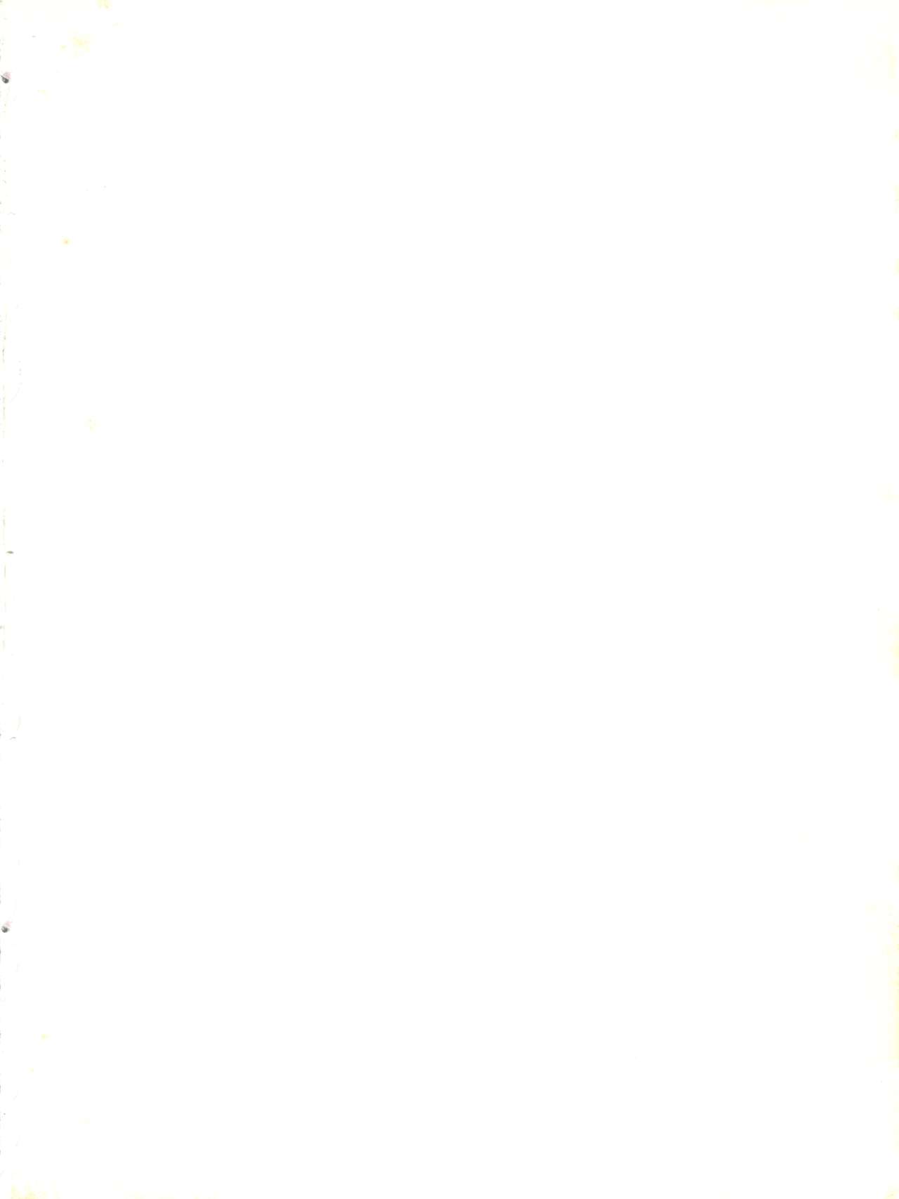 [グループNEKO東京支部 (WOODY)] FLOWER VICTIM II MARYBELL EDITION (花の魔法使いマリーベル)