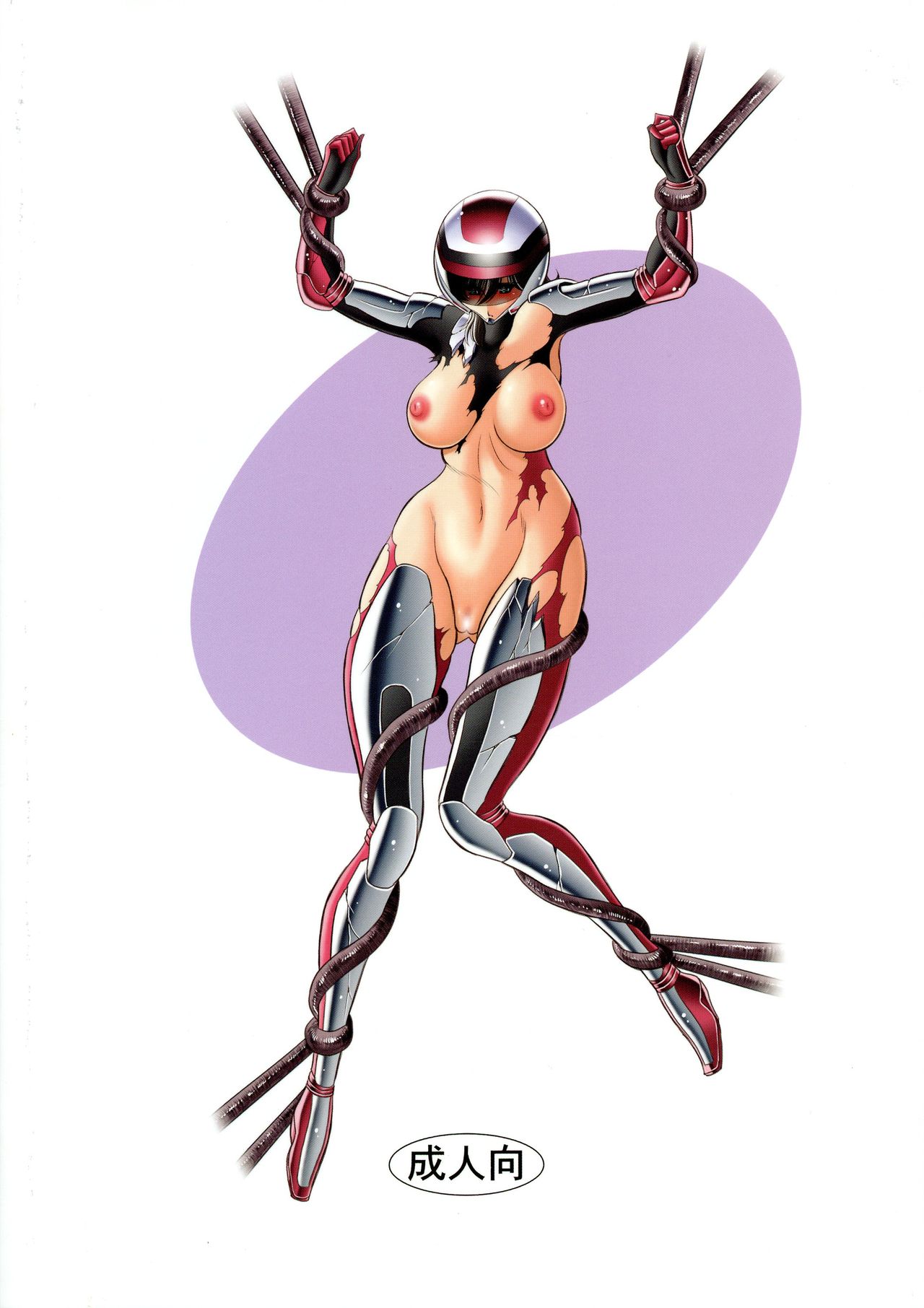 (COMIC1☆15) [サークル太平天国 (堀川悟郎)] 時空の薔薇