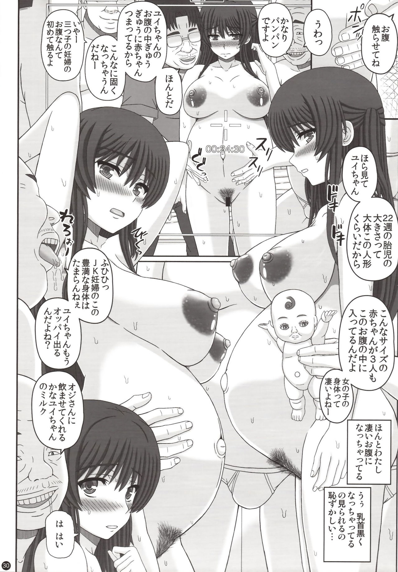 (C95) [幸せ共和国 (幸せのかたち)] 委員長はクラスの妊娠ペット3