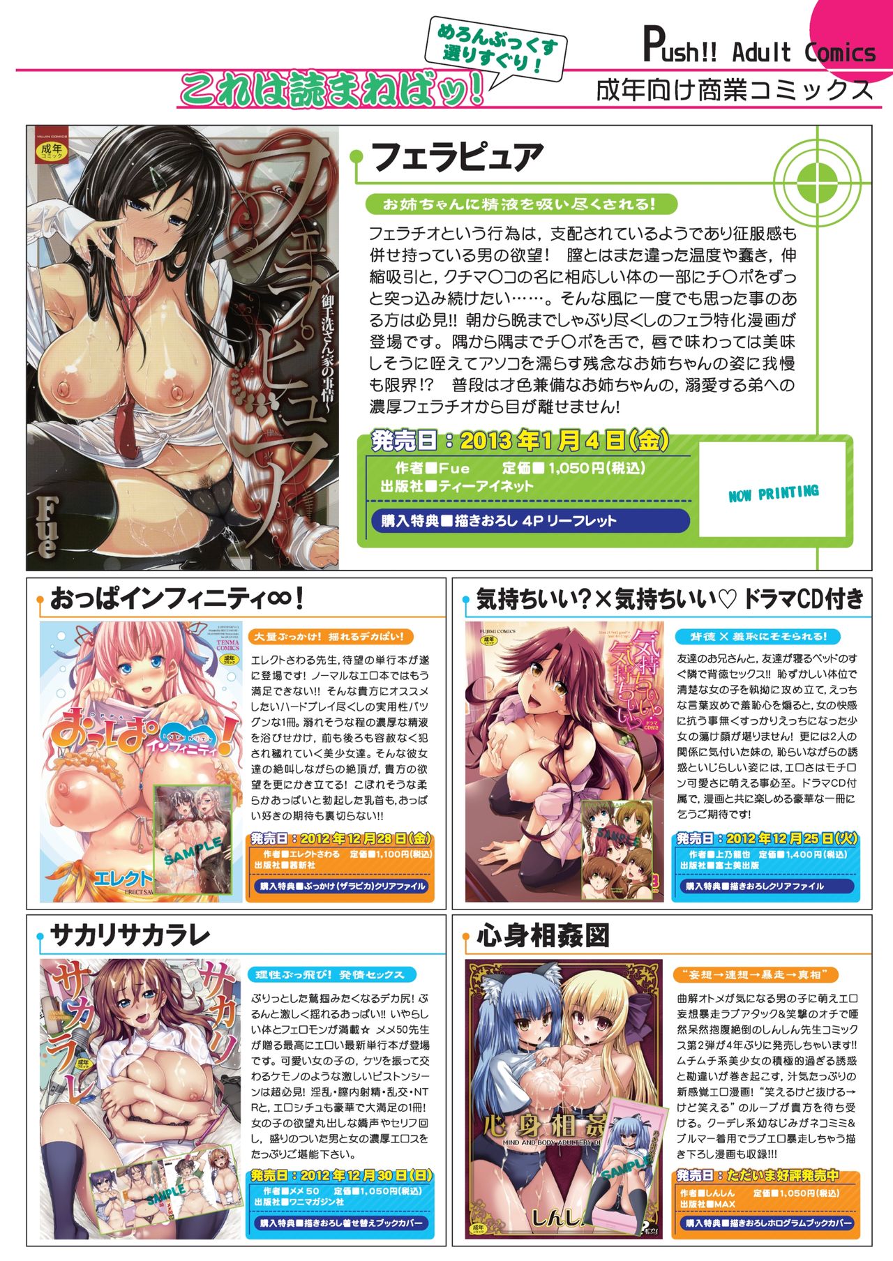 月刊めろメロ 2013年1月号