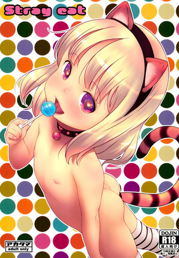 (C96) [アカタマ (桜吹雪ねる)] Stray cat