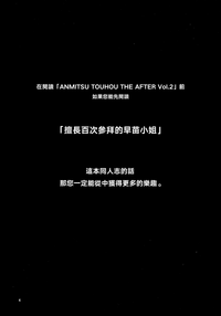 (C96) [あんみつよもぎ亭 (みちきんぐ)] ANMITSU TOUHOU THE AFTER Vol.2 (東方Project) [中国翻訳]