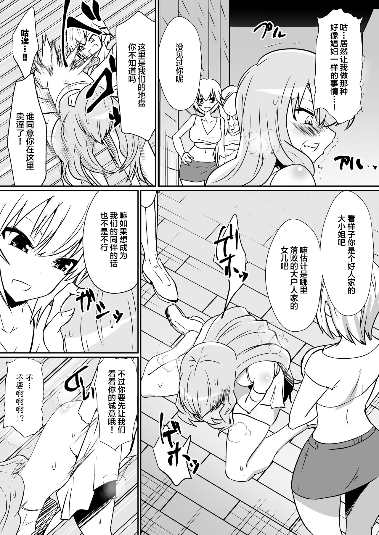 [支配少女 (ダイニング)] ルイズが召喚される話 2 (ゼロの使い魔) [中国翻訳]