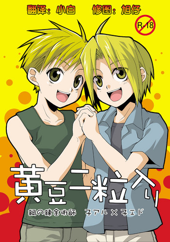 [パンダ4号 (志摩京佑)] 黄豆二粒入り(鋼の錬金術師) [中国翻訳]