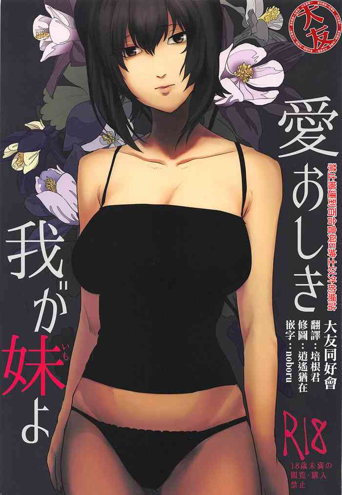 (ぱんっあ☆ふぉー!14) [井庭人 (カワヅ)] 愛おしき我が妹よ (ガールズ&パンツァー) [中国翻訳]