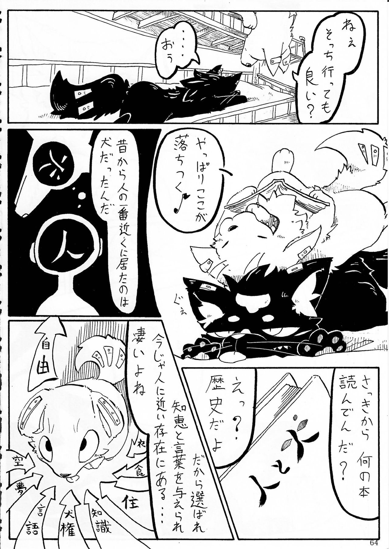 (関西!けもケット2) [KTQ48 (よろず)] KTQ5