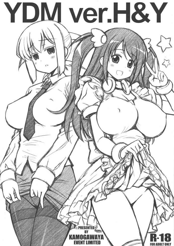 (りんしゃんかいほー! 10) [鴨川屋 (鴨川たぬき)] YDM ver.H＆Y (咲 -Saki-)